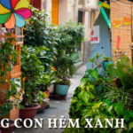 Thích mê khi dạo những "con hẻm xanh" ở Sài Gòn, ước sao người dân nơi nào cũng đồng lòng như thế!